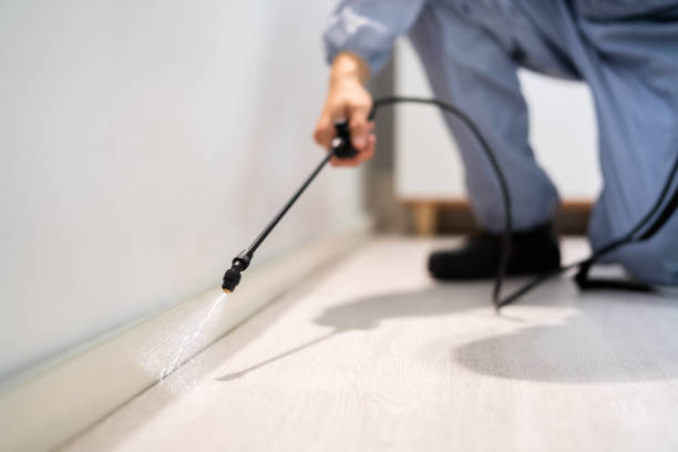 Licensed Pest Control service in Bethlehem Village, CT - Show Me Pest Control