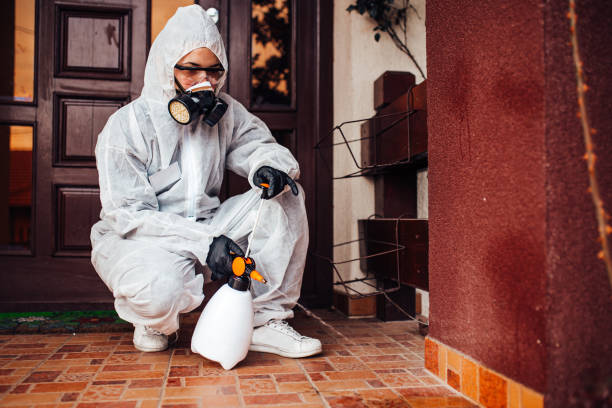 Attic and Crawl Space Rodent Treatment in Bethlehem Village